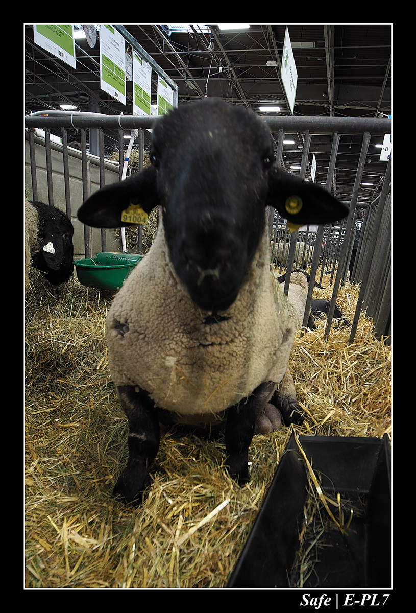 2020 - 02 - Salon agriculture 48